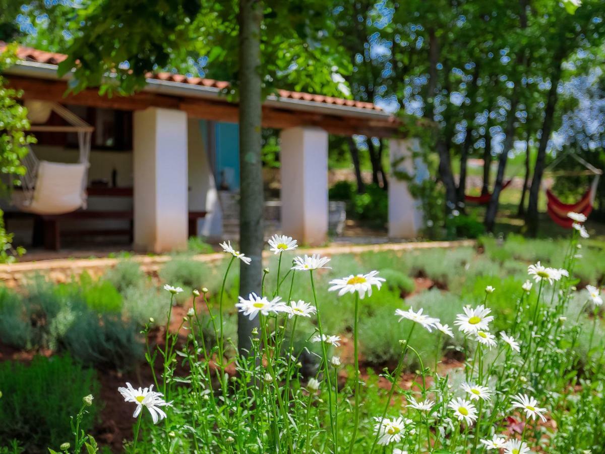 Holiday Home Country House D&D By Interhome Pula Buitenkant foto